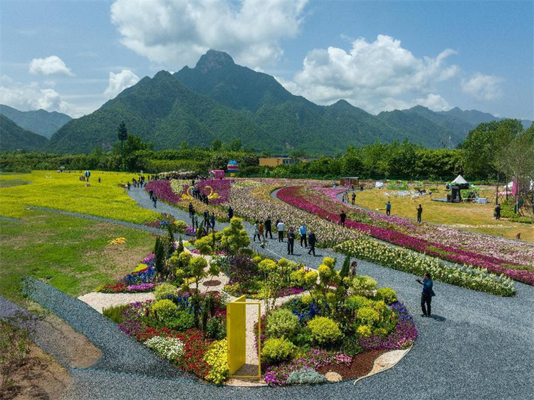 打造乡村振兴“高新样板” 西安高新区“秦岭八村”开园_fororder_图片7