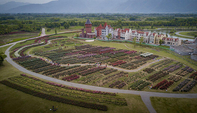 【创建天府旅游名县】绵竹：人间最美四月天 打卡中国玫瑰谷_fororder_QQ图片20220429084202