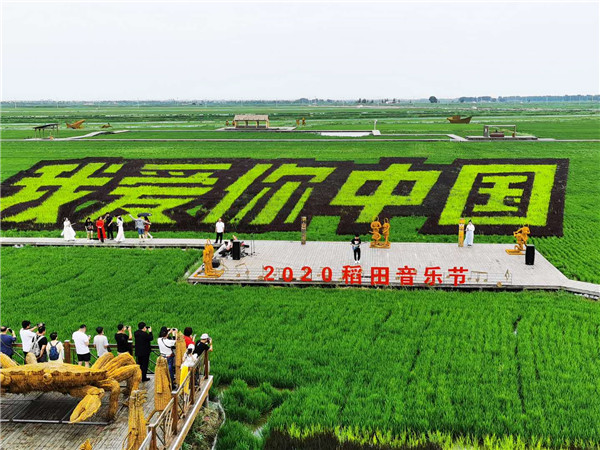 红色滩涂奏响红色经典 盘锦第二届红海滩稻田音乐节启幕