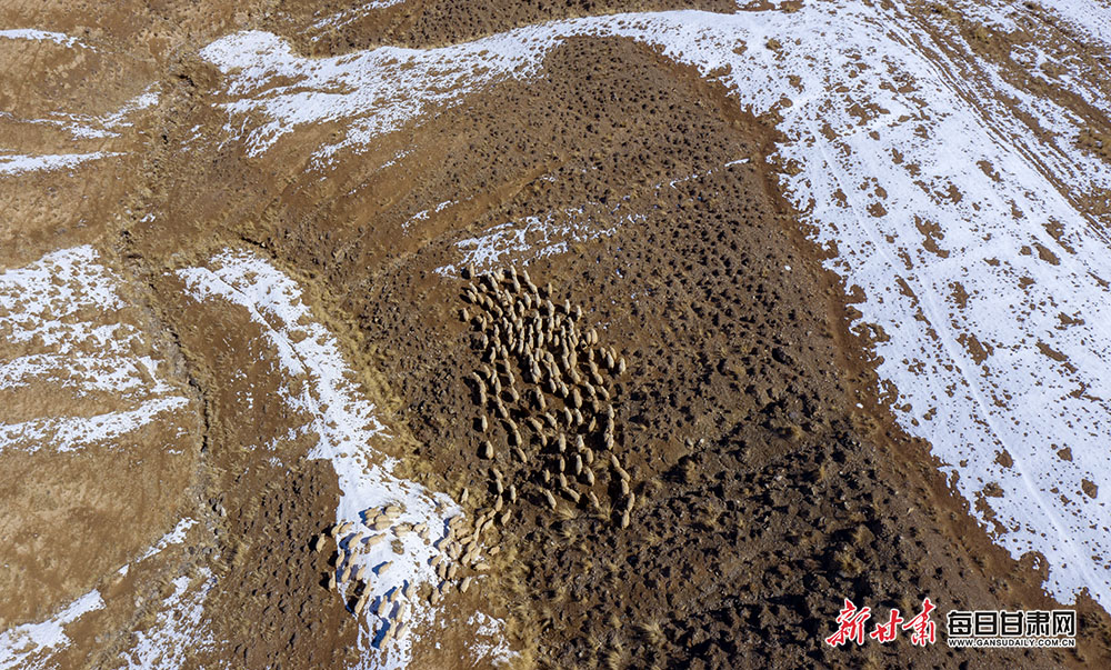 阿克塞五月降雪 祁连深处如一幅写意长卷_fororder_雪山2