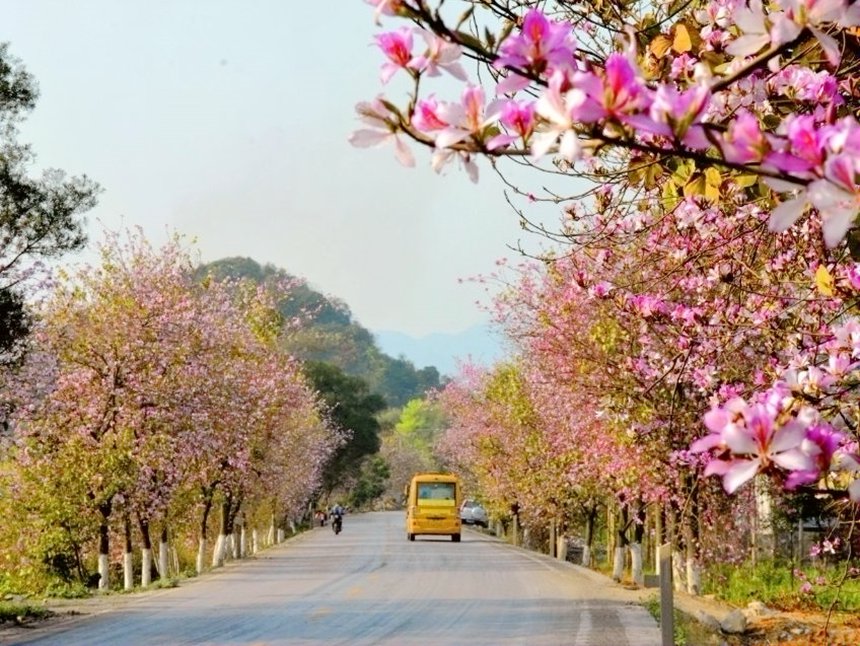 广西“壮美公路”美如画