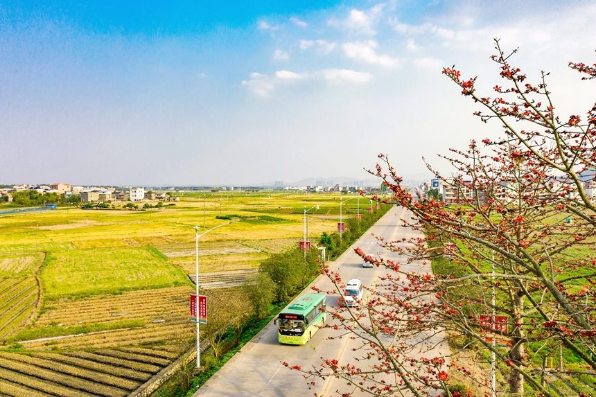 广西“壮美公路”美如画