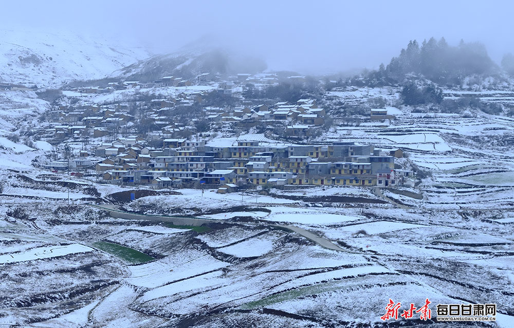 【焦点图+大美甘肃+陇南列表】长天远树山山白 不辨山花与雪花 春雪落武都山村美如画