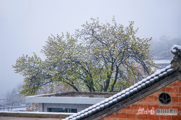 料峭四月喜降春雪 仇池故里美色倾城