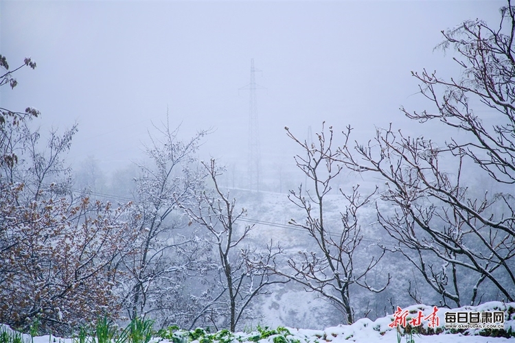 料峭四月喜降春雪 仇池故里美色倾城