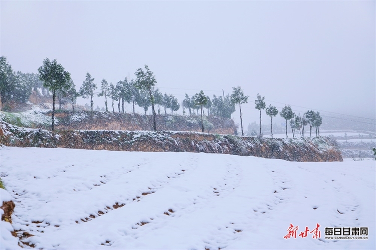 料峭四月喜降春雪 仇池故里美色倾城