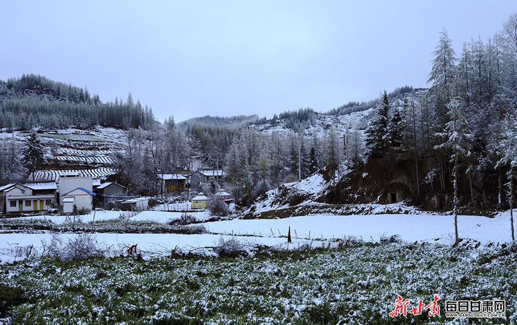 【焦点图+大美甘肃+陇南列表】长天远树山山白 不辨山花与雪花 春雪落武都山村美如画