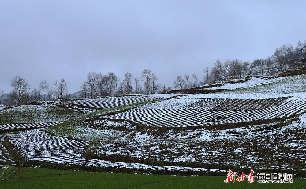 【焦点图+大美甘肃+陇南列表】长天远树山山白 不辨山花与雪花 春雪落武都山村美如画