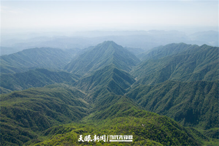 铜仁：梵净山巅风景独好