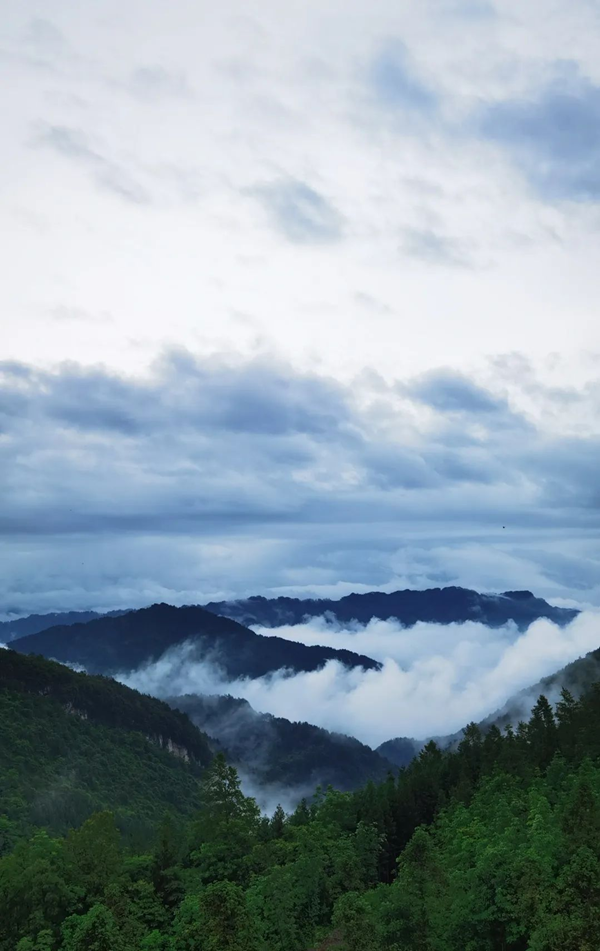 【原创】重庆武隆：2022年度“这就是仙女山”十美评选之新晋网红打卡地全网征集活动开始啦~_fororder_图片2