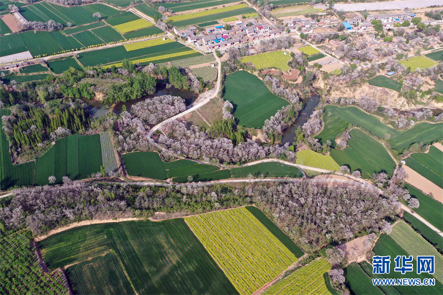 河南孟州：岭区岭区春景美如画