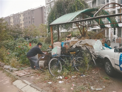 沈阳市沈北新区：提品质 增福祉 塑文明