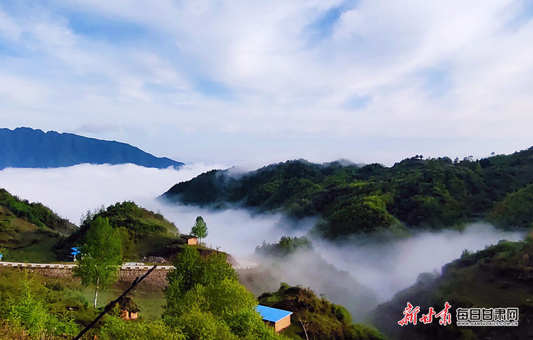 【文旅焦点图】夏日 武都千坝草原美得有些过分！_fororder_夏日3