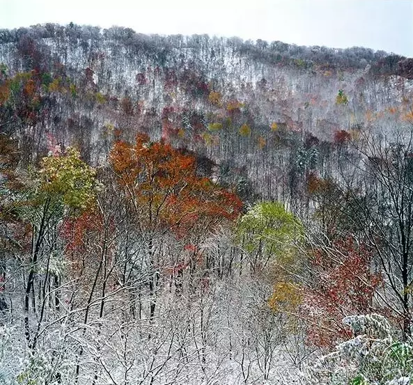 【魅力吉林2（690*300）】【白山松水（大图375*210）】【生态吉林（标题）】【关东黑土（通化）】人间仙境——吉林省辉南县四方顶子