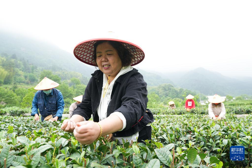 安徽：茶旅融合兴山村