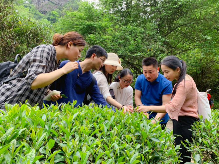 【2022中国品牌日|为你讲一个新故事】  武夷山茶旅找“二师兄”_fororder_武夷山茶旅找“二师兄”751