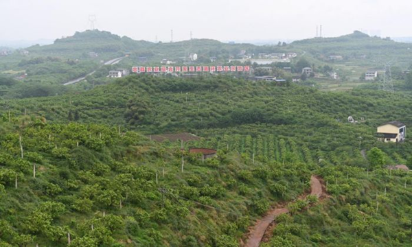 【原创】重庆忠县首批“信用村”授牌_fororder_图片1