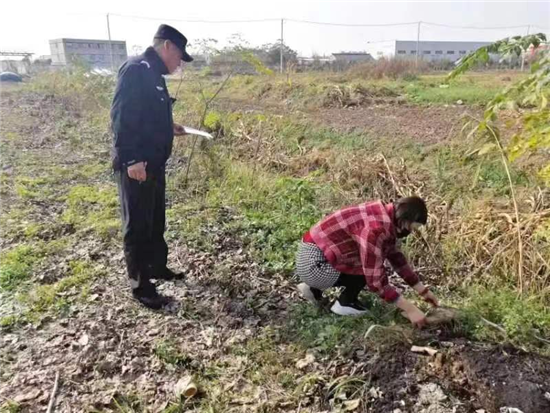 连云港海州两男子滥伐林木受到刑事处罚_fororder_图片 2