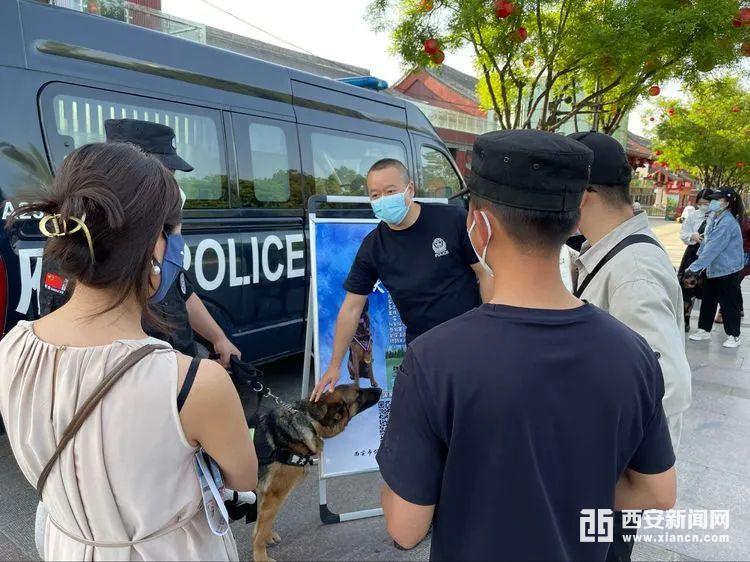 雁塔巡特警大队警犬化身“反诈宣传员” 帮守护百姓“钱袋子”