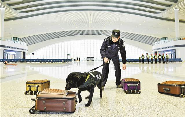 【要闻】渝贵铁路开通在即 车组首发阵容齐亮相