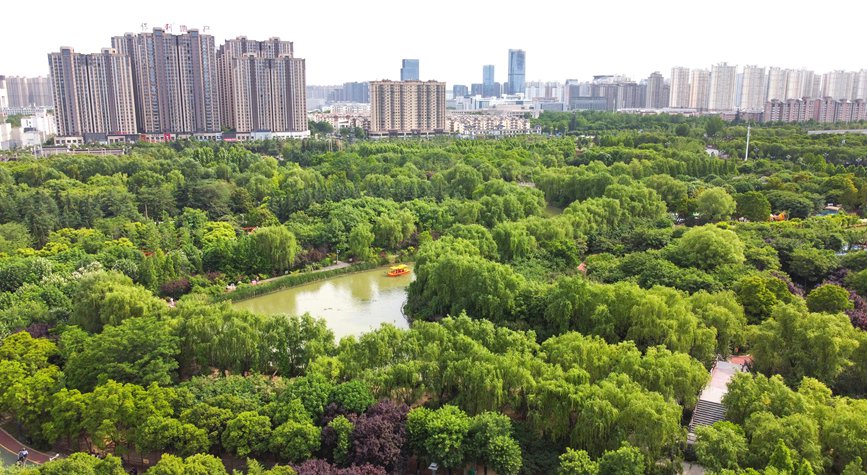 河南洛阳：厚植生态底色 乐享城市游园