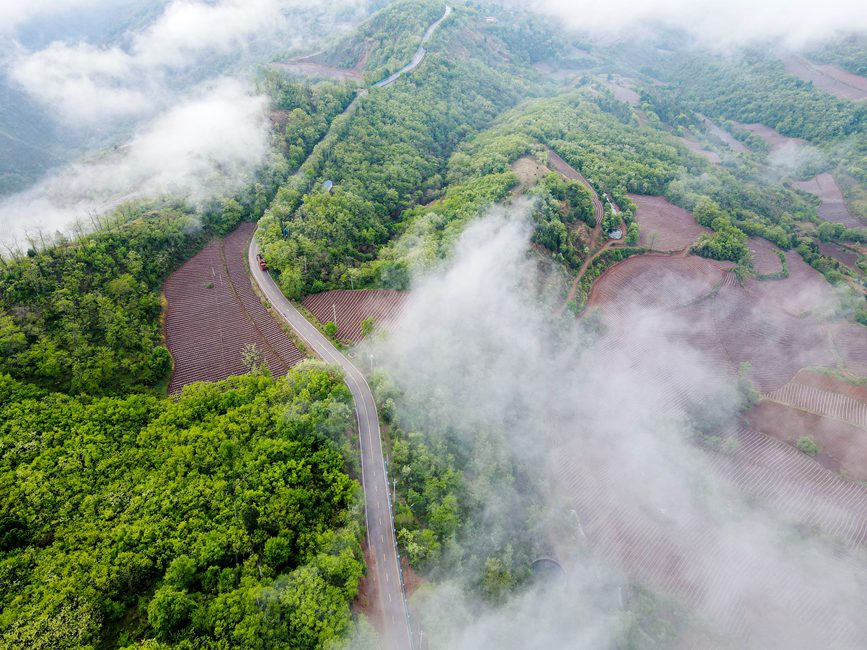 三门峡卢氏：雨后山村入画来