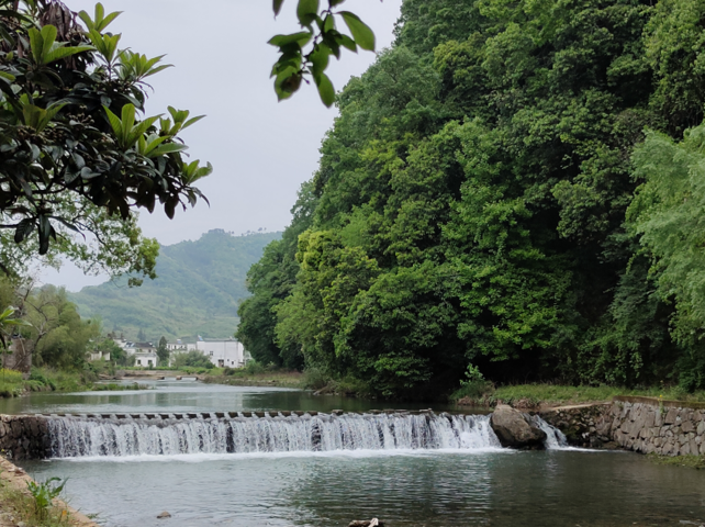 黄山：四月古村觅仙境