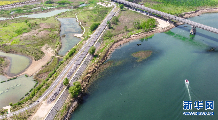 河南洛阳：春染黄河湿地