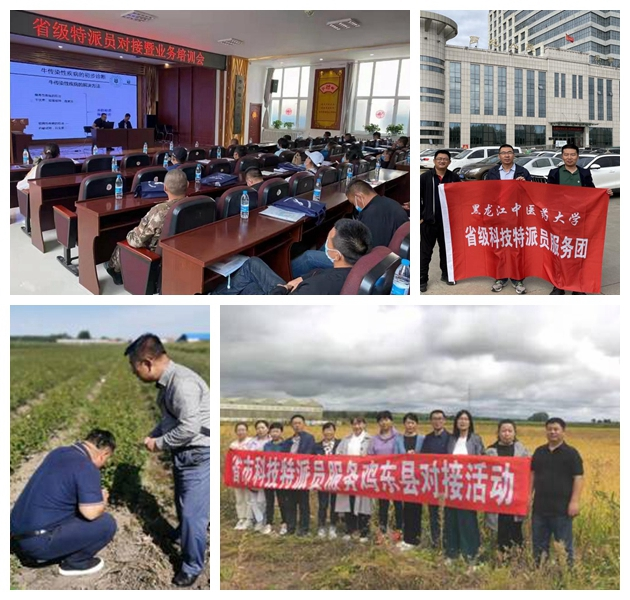 喜迎党代会 打赢防疫战 黑龙江中医药大学扎根龙江大地争“一流”