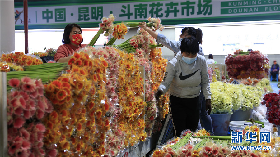 向往的昆明|盛开在昆明的“鲜花经济”