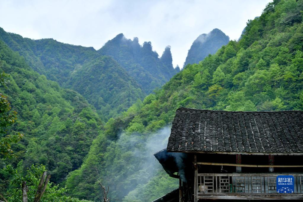 探访湖北七姊妹山国家级自然保护区