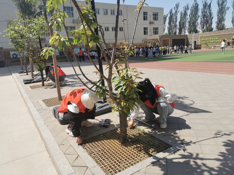 （原创）石家庄市育新实验小学：传承五四精神 闪耀青春之光_fororder_0668a8155761657eb059a49a87cab08