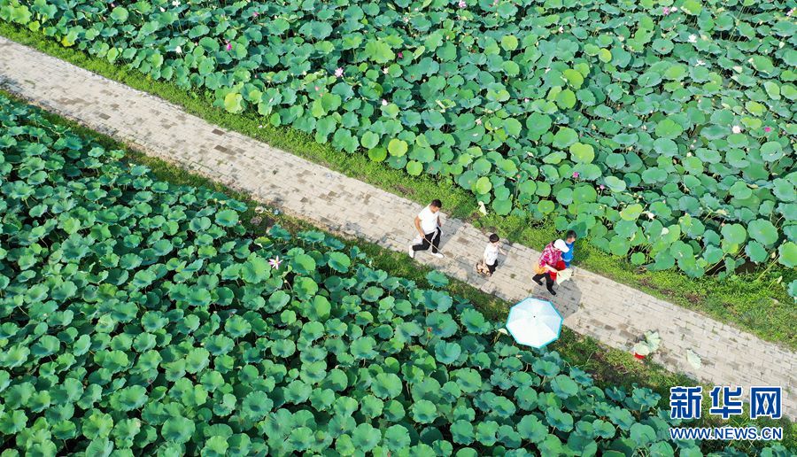 【城市远洋】河南宝丰：改善水源环境 打造生态家园