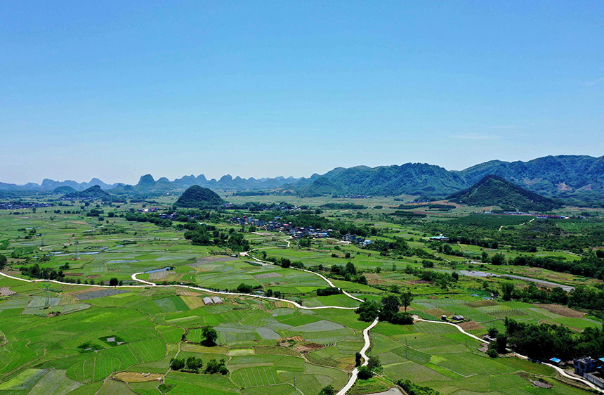 广西：立夏至 田园美