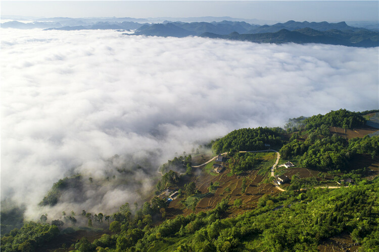 奋进新征程 建功新时代·老区新貌丨“转折之城”再写传奇