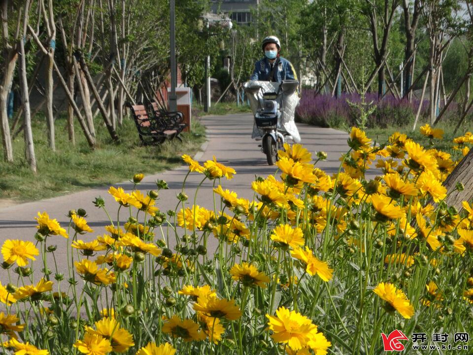 河南开封：黄汴河畔 风光秀丽