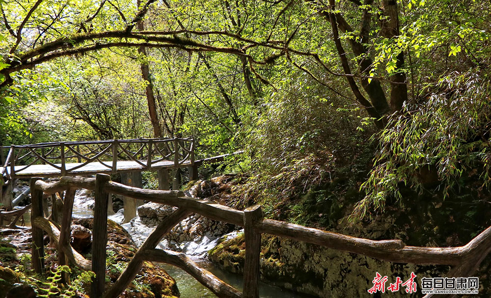 【文旅】清溪浅吟低唱 峰林耸翠藏幽 两当云屏三峡有你不曾见过的美景_fororder_绿色4