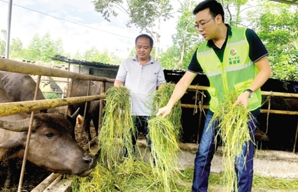 当好脱贫“引路人”　增强致富“续航力”