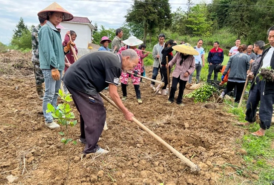 （供稿）贵州碧江：发展油茶套种辣椒种植 助力乡村振兴_fororder_微信图片_20220509151556