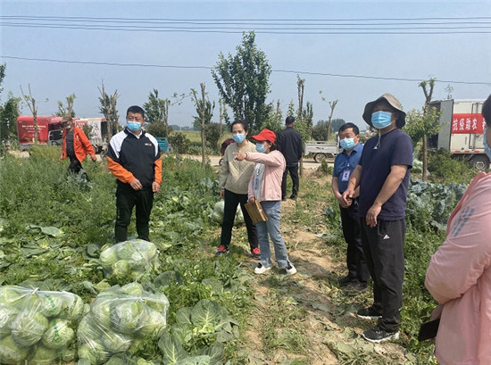 周口市川汇区：蔬菜滞销农户愁 帮扶单位解民忧_fororder_1