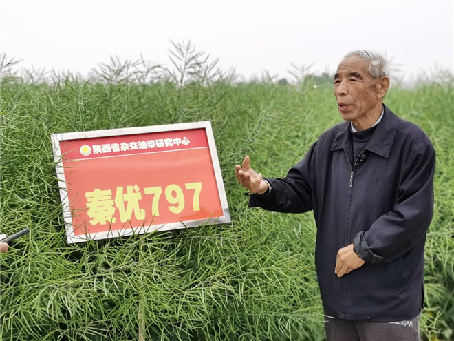 （世界上第一个大面积应用于油菜生产附链接）油菜田里望丰稔|让“油瓶子”里多装中国油_fororder_图片3_副本