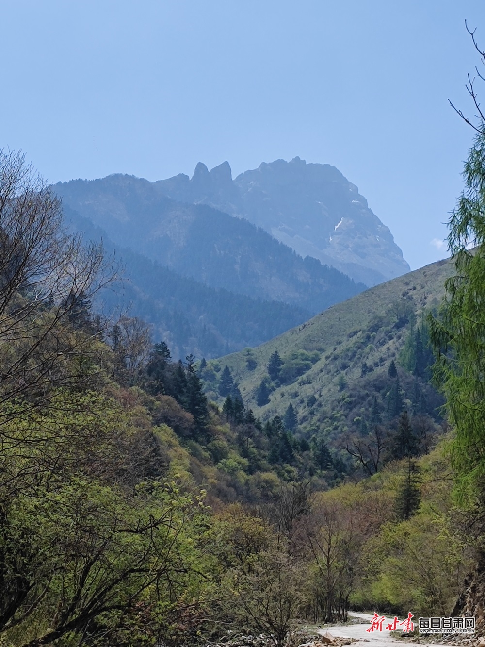 飞瀑流泉松涛阵阵 山峰叠翠奇石林立 宕昌黄家路林区风光旖旎_fororder_6