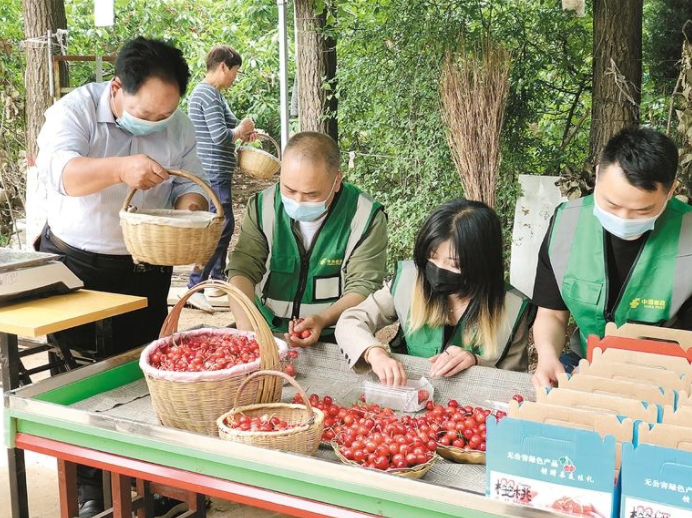 【中首 陕西 图】西安白鹿原大樱桃“抢鲜”飞全国_fororder_微信图片_20220512085101