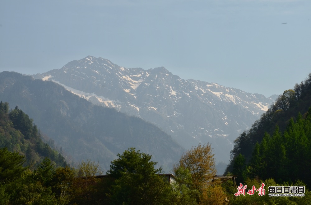 飞瀑流泉松涛阵阵 山峰叠翠奇石林立 宕昌黄家路林区风光旖旎_fororder_1