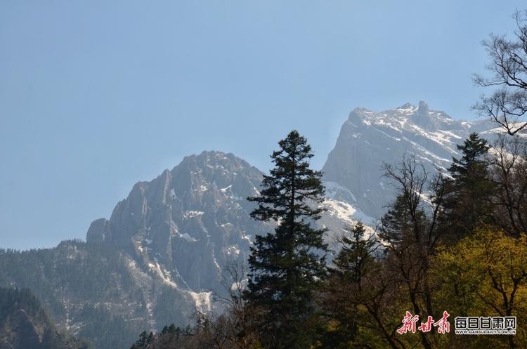 飞瀑流泉松涛阵阵 山峰叠翠奇石林立 宕昌黄家路林区风光旖旎_fororder_5