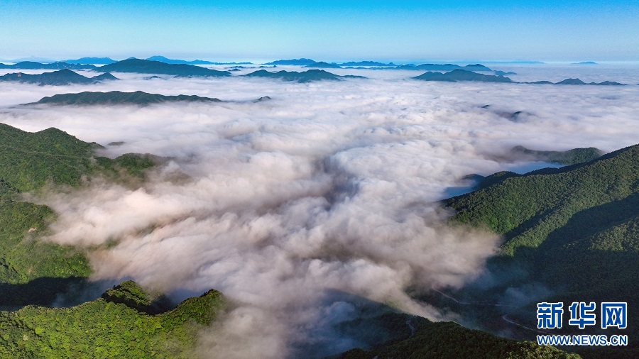 河南洛阳：雨后云海美如画