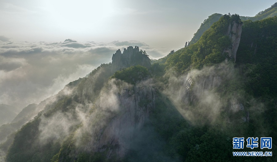 河南洛阳：雨后云海美如画