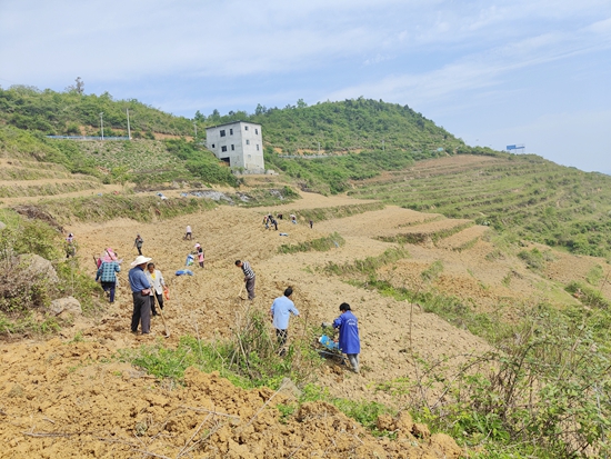 贵州思南：盘活农村闲置土地资源 助农增收_fororder_大河坝镇复耕地。李超摄_proc