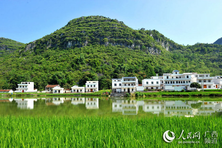 广西忻城：青山绿水皆是景 城乡处处美如画