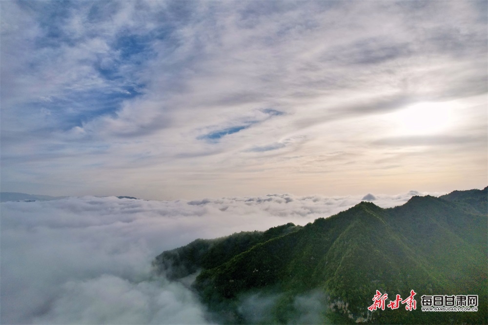 【文旅焦点图】夏日 武都千坝草原美得有些过分！_fororder_夏日1